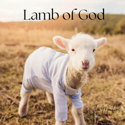 Lamb of God