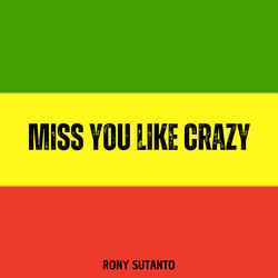 miss you Like Crazy