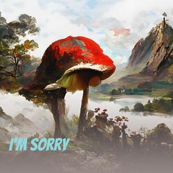 I'm Sorry
