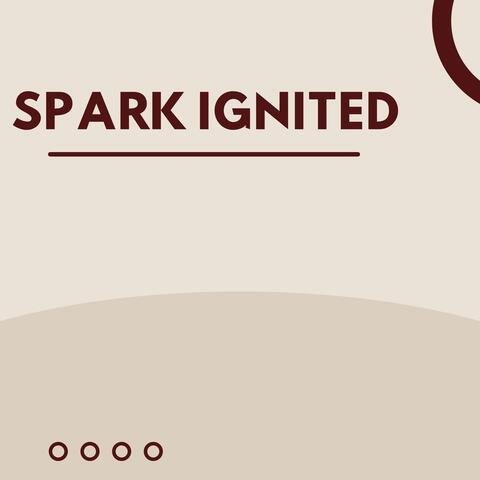 Spark Ignited