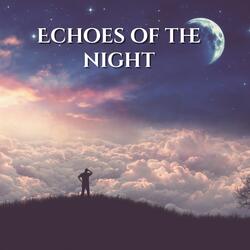 Echoes of the night
