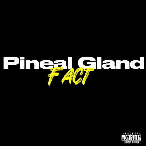 Pineal Gland