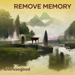 REMOVE MEMORY