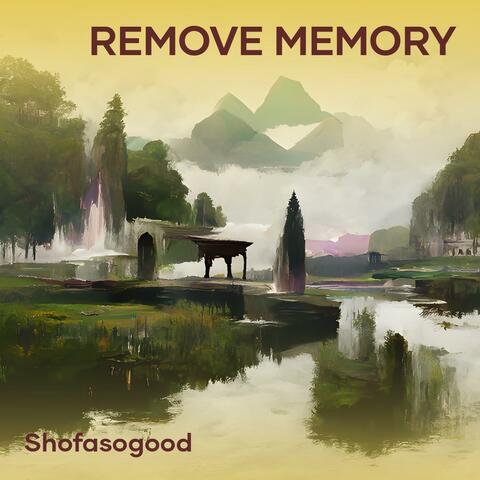 REMOVE MEMORY