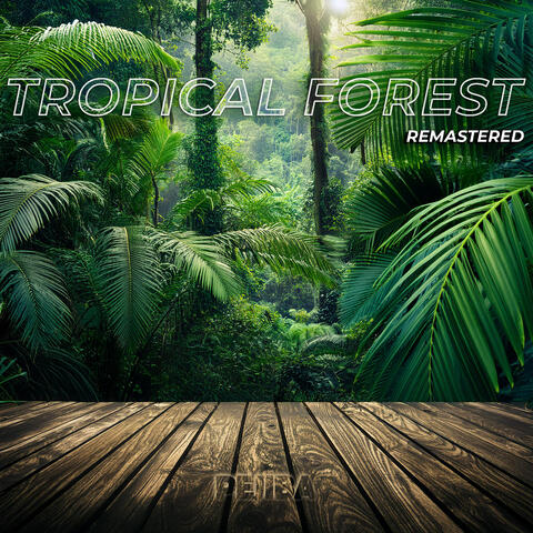 Tropical Forest