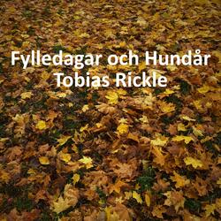 Fylledagar och Hundår