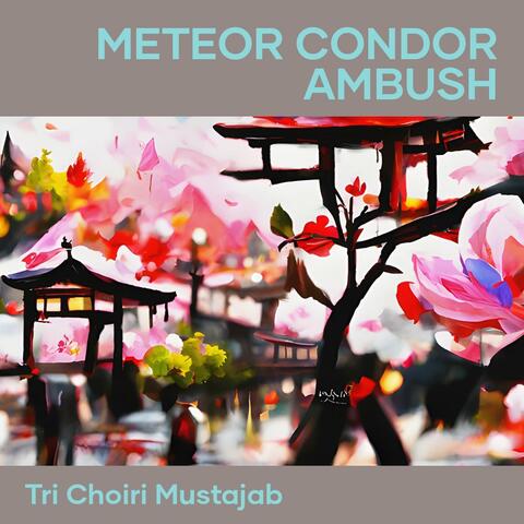 Meteor Condor Ambush