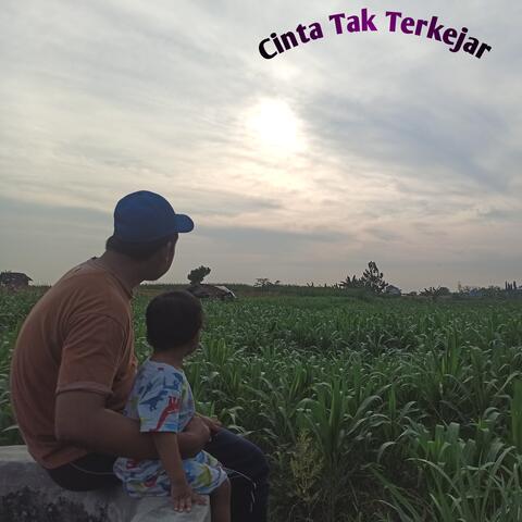 Cinta Tak Terkejar