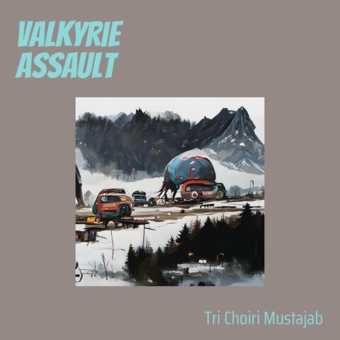 Valkyrie  Assault