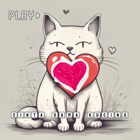 Cinta Sama Kucing