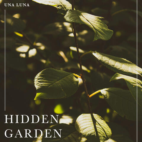 Hidden Garden