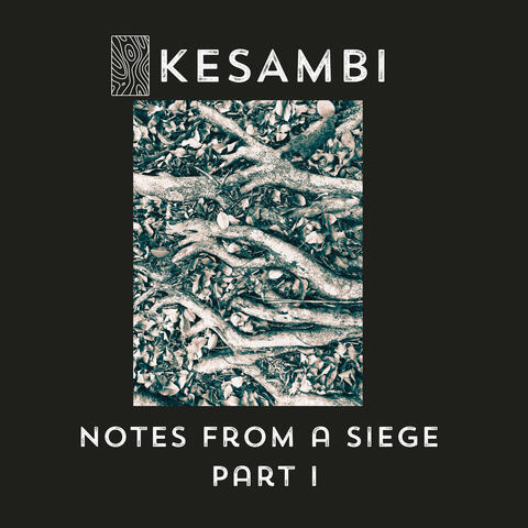 Notes from a Siege, Pt. I