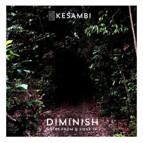 Diminish (Notes from a Siege IV)