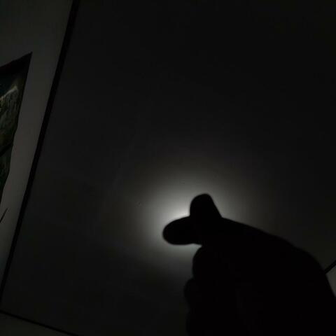 Echoes of the Night