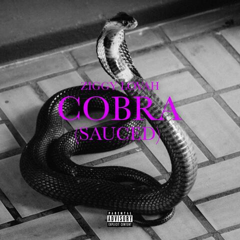 Cobra (Sauced)