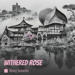 withered rose
