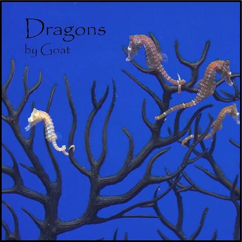 Dragons