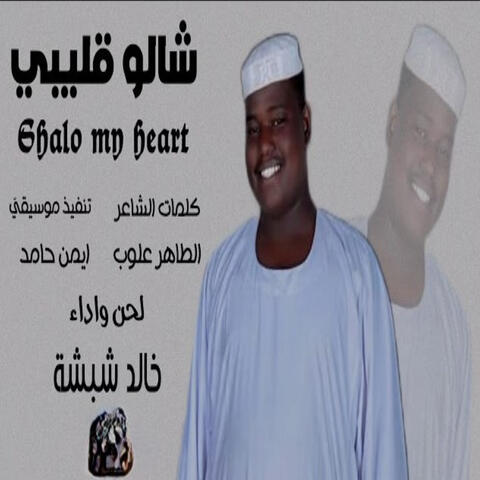 شالو قليبي