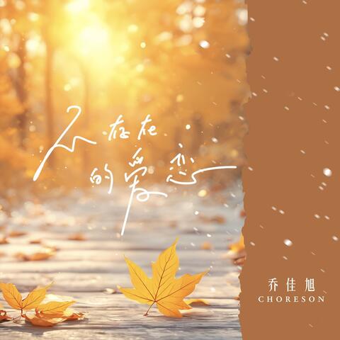 不存在的爱恋