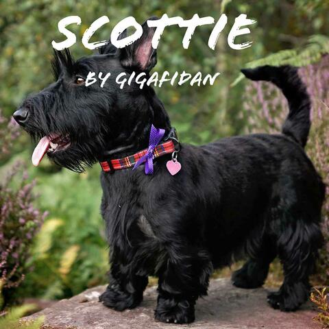 Scottie