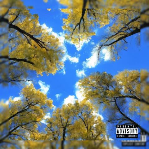 BLUE SKIES