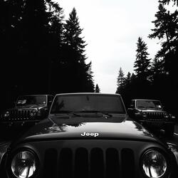 LOOK AT MY JEEP