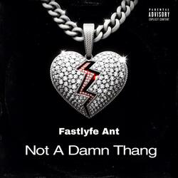 Not A Damn Thang