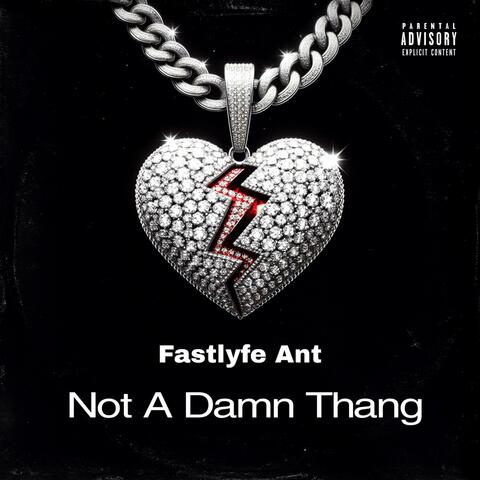 Not A Damn Thang