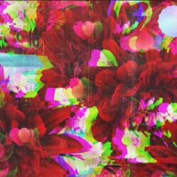 Infected Love