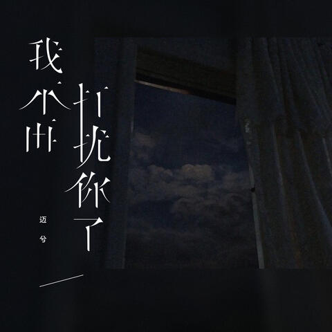 我不再打扰你了