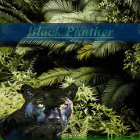 Black Panther
