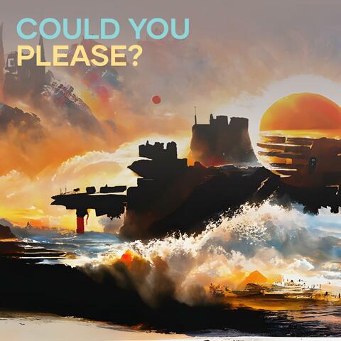Could you please?