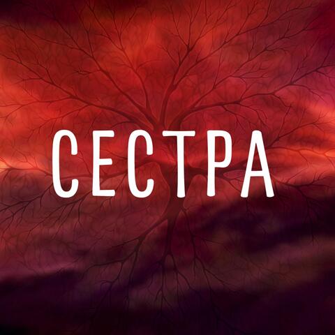 Сестра
