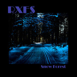 Snow Forest