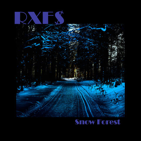 Snow Forest