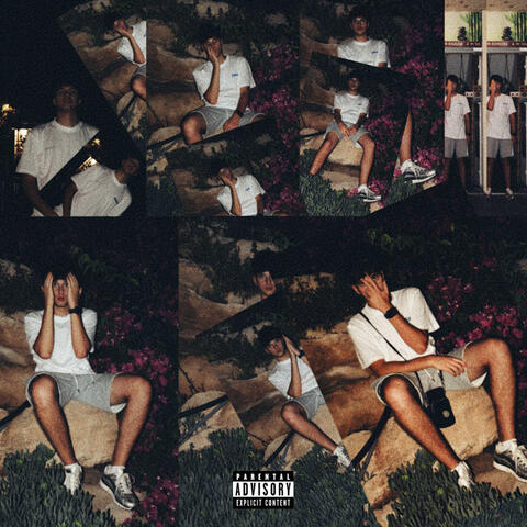 ФЛОРА И ФАУНА