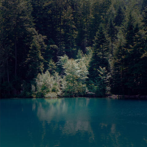 Lost