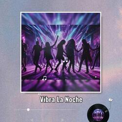 Vibrate The Night