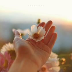To those who are weary in spirit