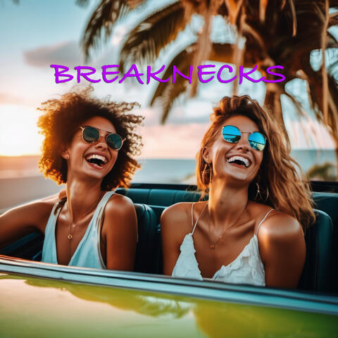 Breaknecks