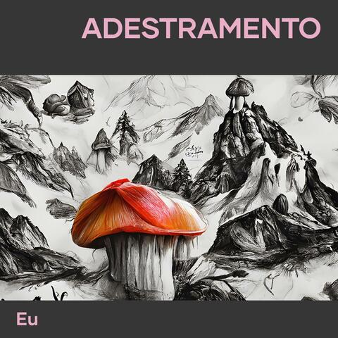 Adestramento