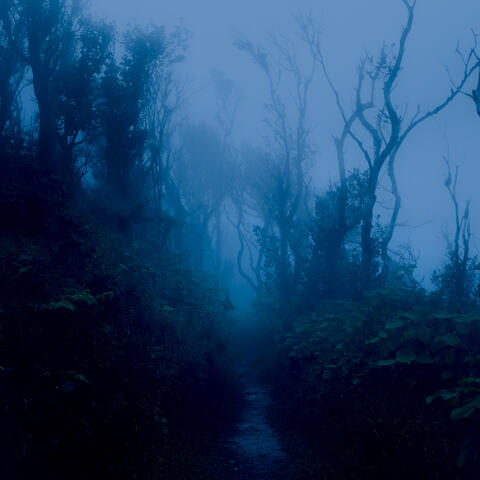 i want to be alone