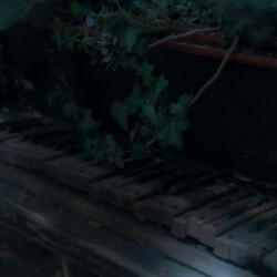 Abandoned Piano