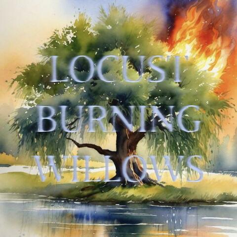 Locust burning willows