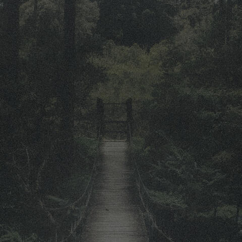 silent place