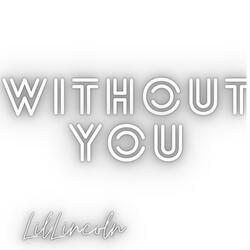 Without You