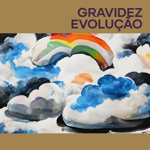 Gravidez evolução