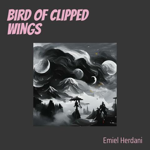 Bird of clipped wings