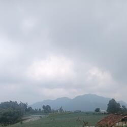 Yakinlah