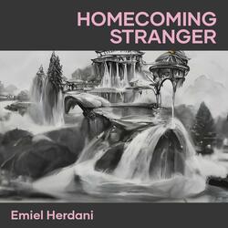 Homecoming stranger